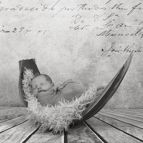 Neugeborenes, newborn im Blatt